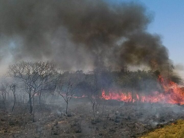 Seca Severa: Inmet Alerta para Risco Extremo de Baixa Umidade em Quatro Regiões do Brasil