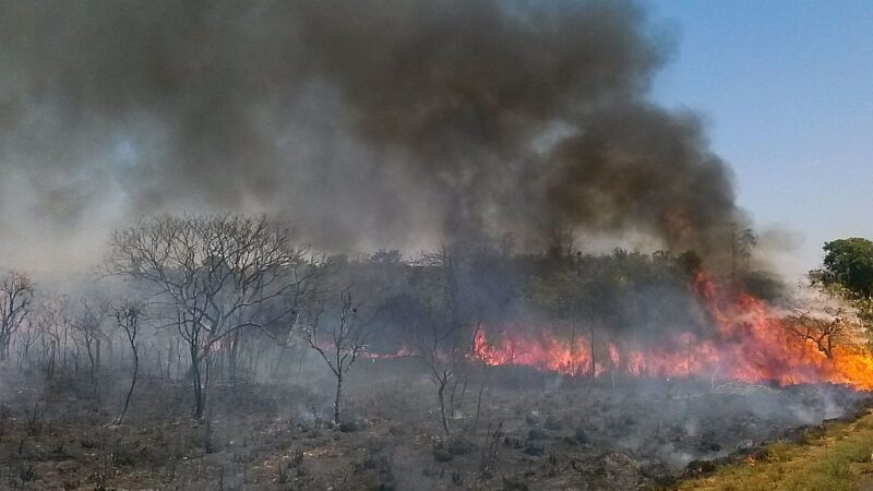 Seca Severa: Inmet Alerta para Risco Extremo de Baixa Umidade em Quatro Regiões do Brasil