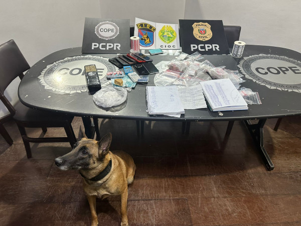 PCPR e PMPR prendem casal em flagrante por tráfico de drogas em Tijucas do Sul