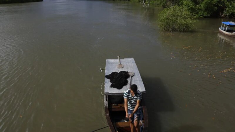 Seguro-Defeso: Fraudes Levam a Regras Mais Rigorosas para Pescadores Artesanais a partir de Outubro