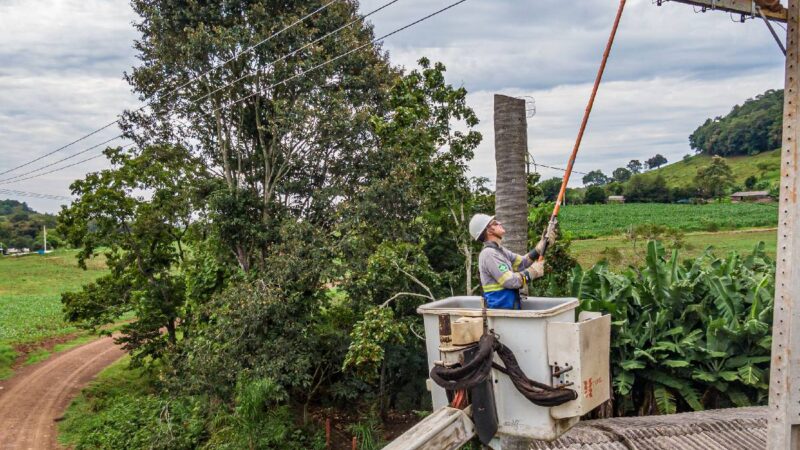 Atenção, Curitiba: Copel Programa Interrupção no Fornecimento de Energia na Próxima Terça-Feira