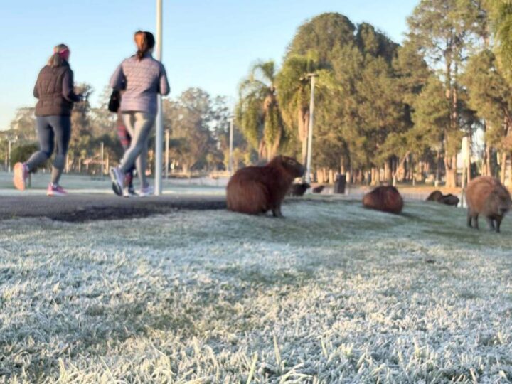 Paraná em Alerta: Onda de Frio e Tempestades Atingem o Estado