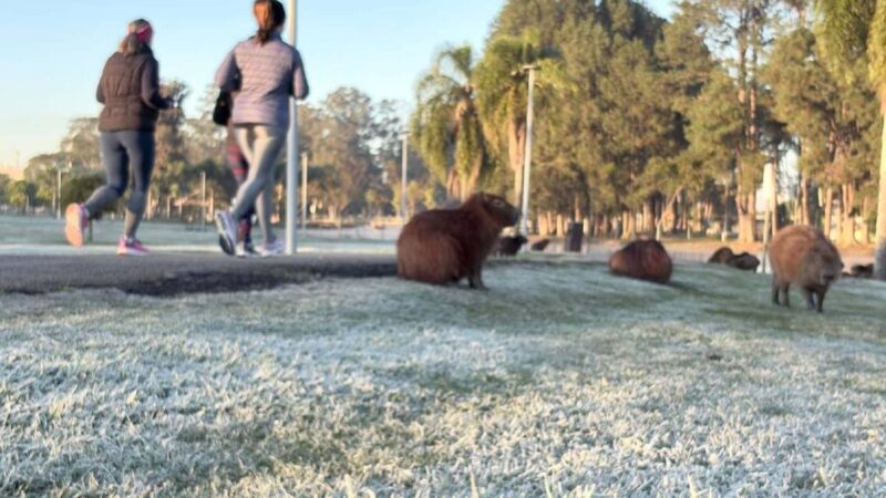 Paraná em Alerta: Onda de Frio e Tempestades Atingem o Estado