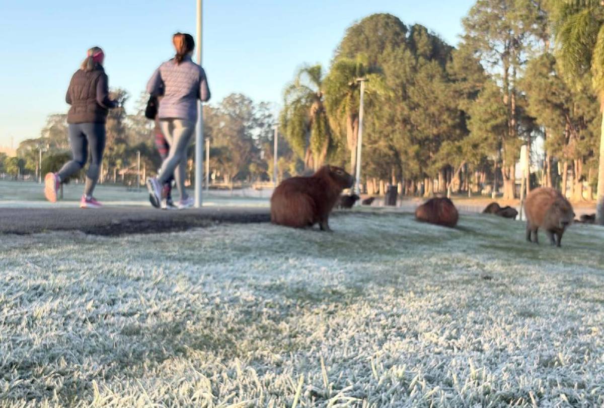Paraná em Alerta: Onda de Frio e Tempestades Atingem o Estado