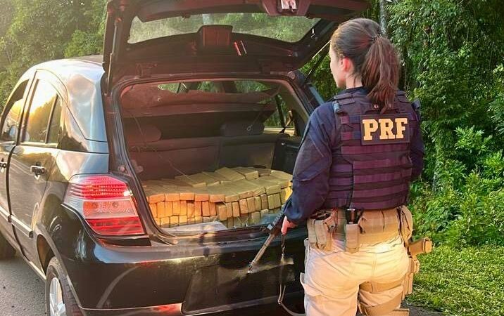 Flagrante na BR-277: PRF Apreende Carga de 220 kg de Maconha em Irati
