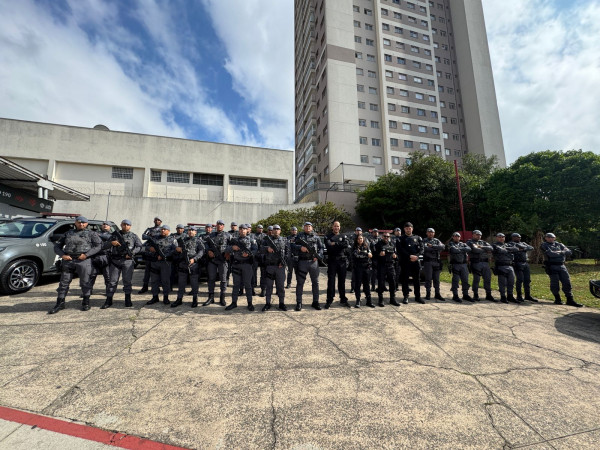 PCPR e PMSP identificam organização criminosa envolvida em golpe de venda de veículos