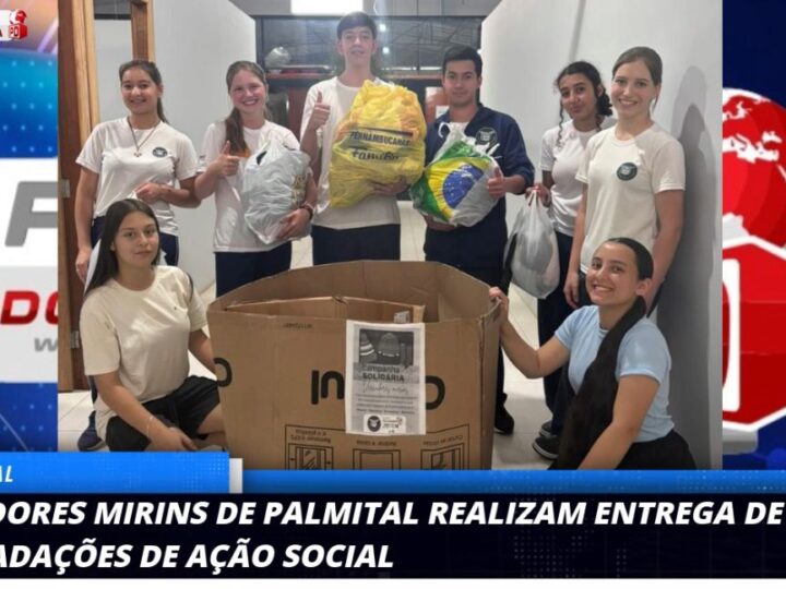 Vereadores Mirins de Palmital Lideram Ação Solidária em Prol de Famílias Vulneráveis
