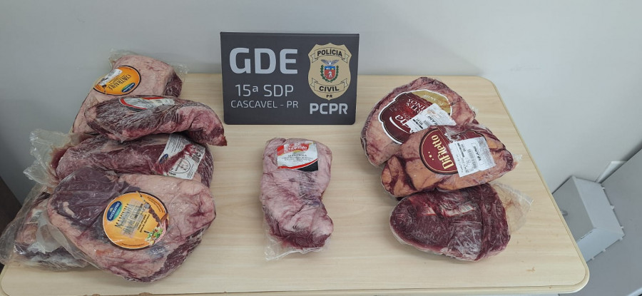 PCPR prende sete pessoas durante operação contra furtos e receptação em Cascavel