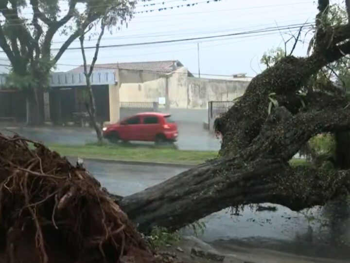 Temporal Devasta Norte do Paraná: Maringá e Londrina em Alerta Laranja