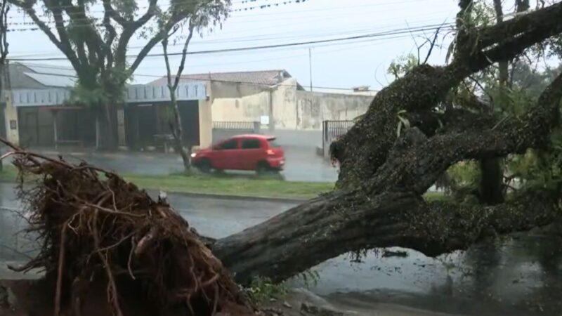 Temporal Devasta Norte do Paraná: Maringá e Londrina em Alerta Laranja
