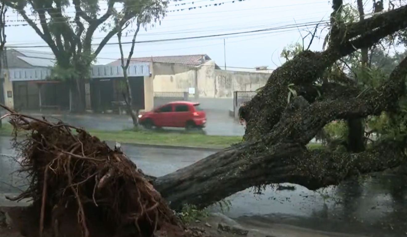 Temporal Devasta Norte do Paraná: Maringá e Londrina em Alerta Laranja