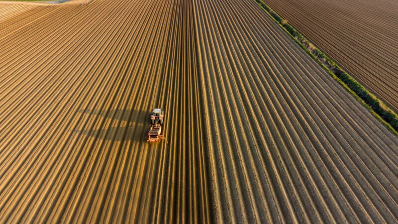 Segurança da Cadeia de Suprimentos Agrícola: Pilar Essencial do Comércio Global