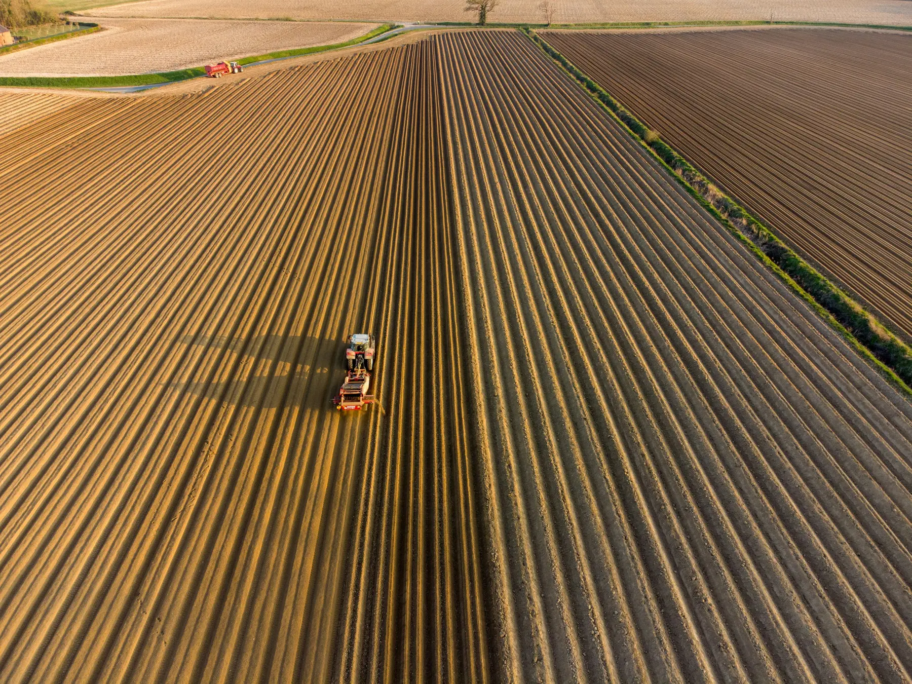 Segurança da Cadeia de Suprimentos Agrícola: Pilar Essencial do Comércio Global