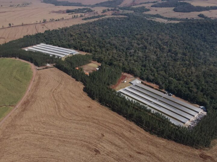GTF Impulsiona Produção Avícola com Nova Unidade de Ovos no Paraná