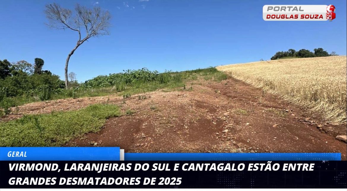 Operação Mata Atlântica em Pé: Multas de R$ 2,9 milhões aplicadas em áreas desmatadas no Paraná