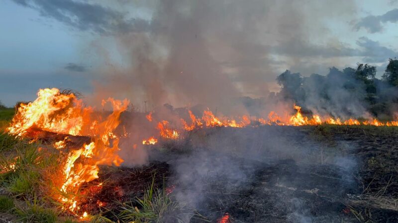 Incêndio atinge área de vegetação em Cascavel