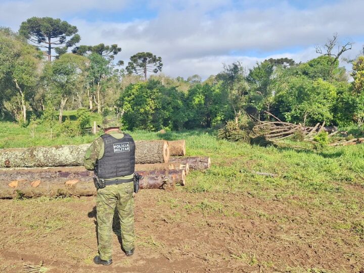 Ação da Polícia Ambiental Desmantela Esquema de Desmatamento e Apreende Toneladas de Madeira Ilegal na Região de Guarapuava