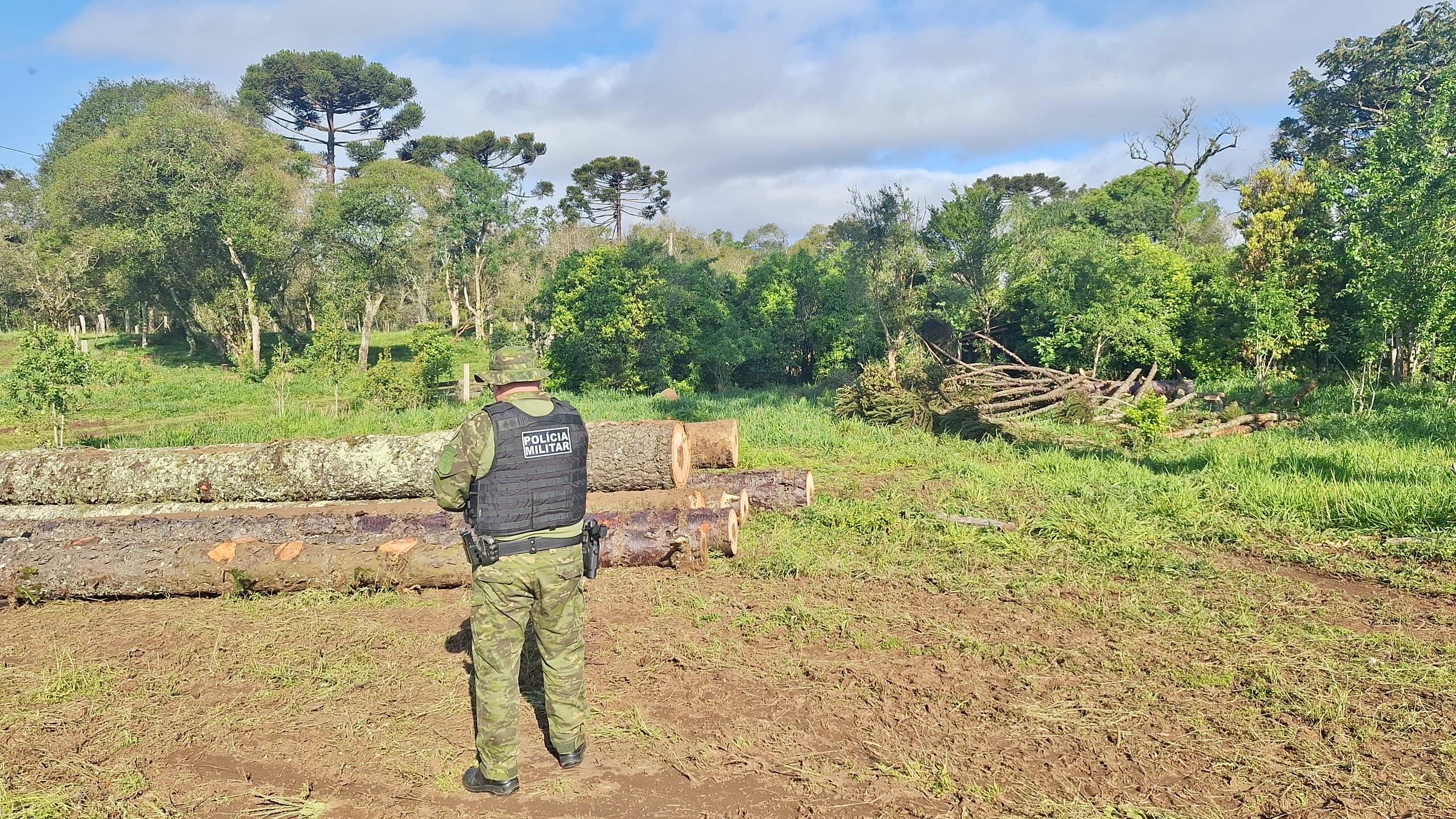 Ação da Polícia Ambiental Desmantela Esquema de Desmatamento e Apreende Toneladas de Madeira Ilegal na Região de Guarapuava