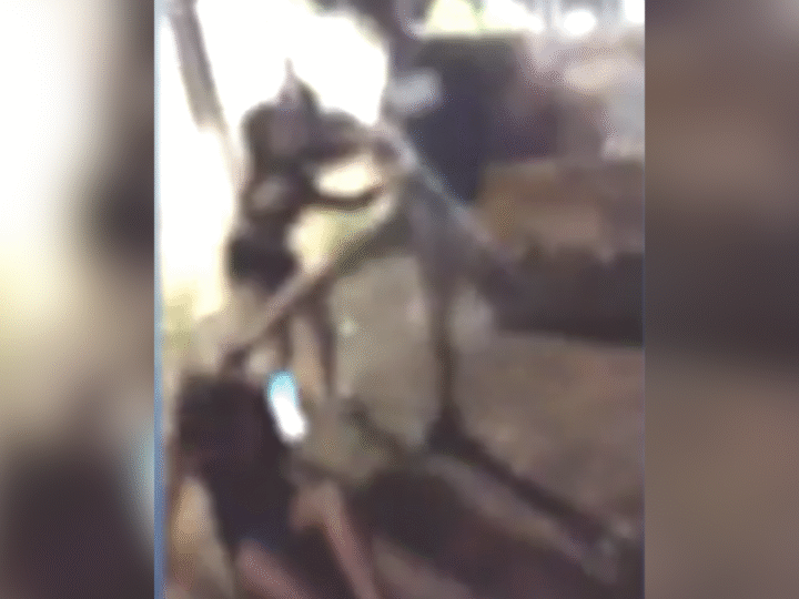 Jovem é brutalmente agredida após recusar beijo em Londrina; vídeo choca