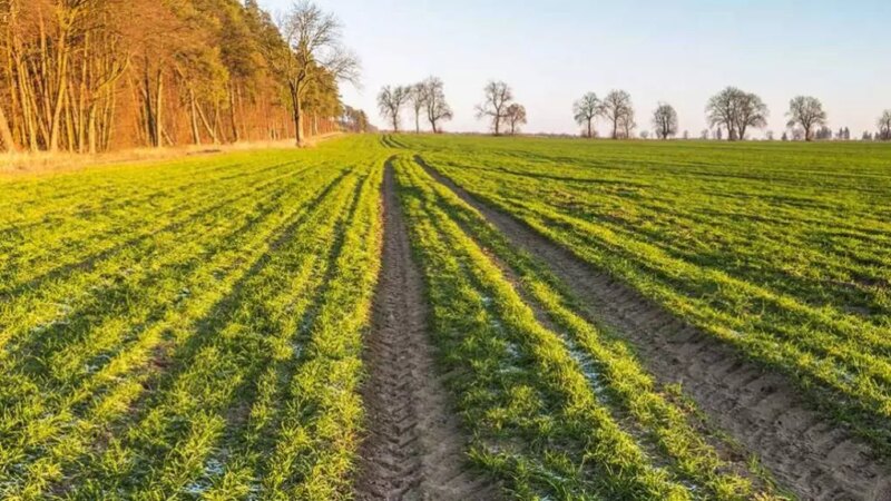 Brasil Acelera Agro Sustentável com Nova Iniciativa Regenerativa