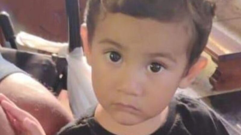 Angústia no Paraná: Buscas Intensificadas por Menino de 2 Anos Desaparecido em Tibagi