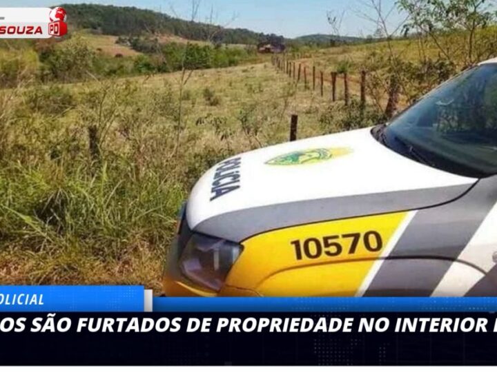 Produtor Rural de Mato Rico Aciona Polícia Após Furto de Bezerros Marcados