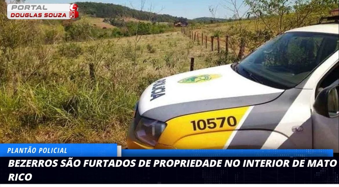 Produtor Rural de Mato Rico Aciona Polícia Após Furto de Bezerros Marcados