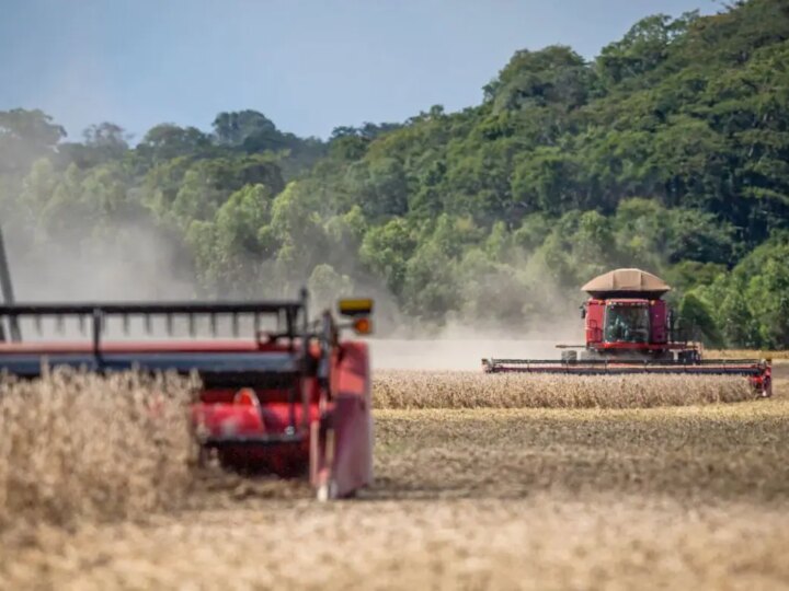 O Lado Sombrio da Safra Recorde: Recuperações Judiciais Disparam no Agronegócio