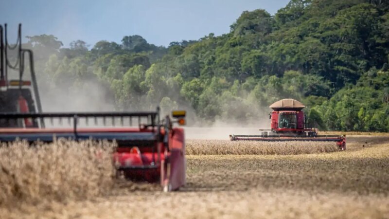 O Lado Sombrio da Safra Recorde: Recuperações Judiciais Disparam no Agronegócio