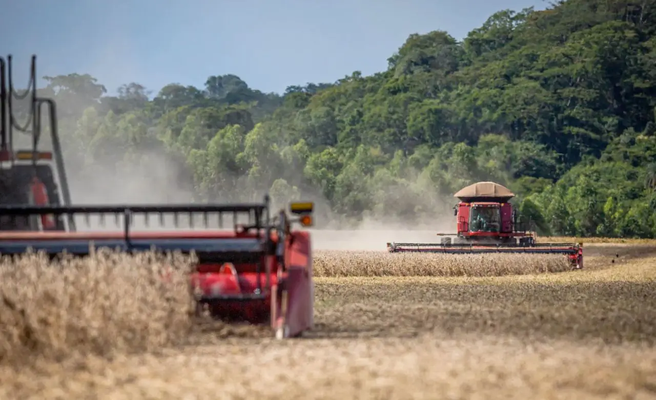 O Lado Sombrio da Safra Recorde: Recuperações Judiciais Disparam no Agronegócio
