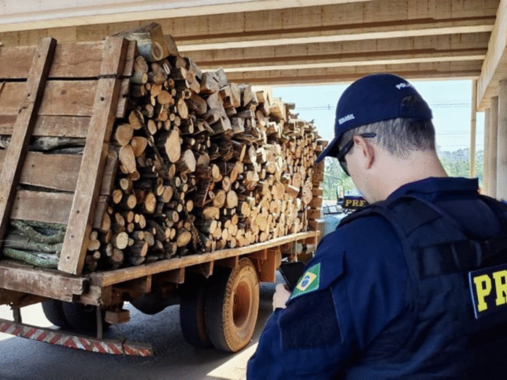 Flagrante Inusitado: Caminhoneiro Troca Cinto de Segurança por Corda e Coleciona Infrações no Paraná