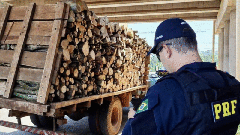 Flagrante Inusitado: Caminhoneiro Troca Cinto de Segurança por Corda e Coleciona Infrações no Paraná