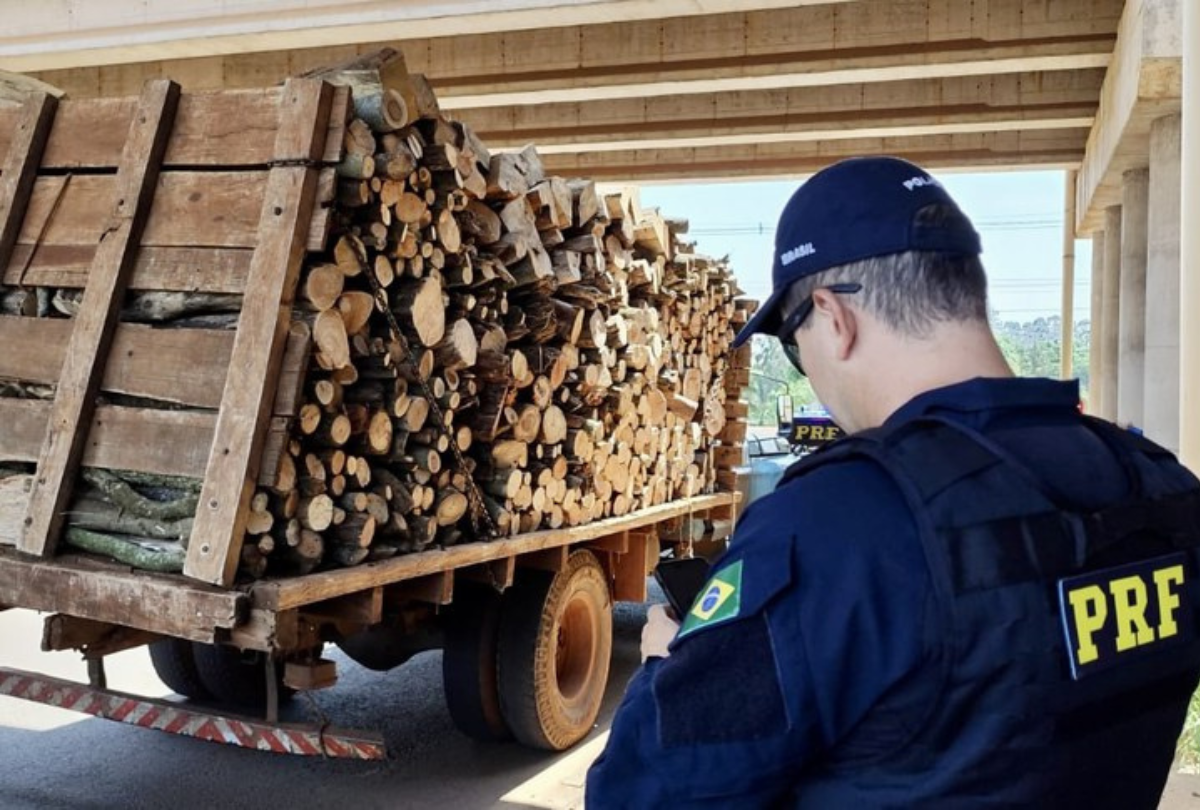Flagrante Inusitado: Caminhoneiro Troca Cinto de Segurança por Corda e Coleciona Infrações no Paraná