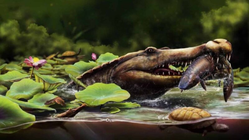 Nova espécie de crocodilo de 80 milhões de anos é descoberta no Egito