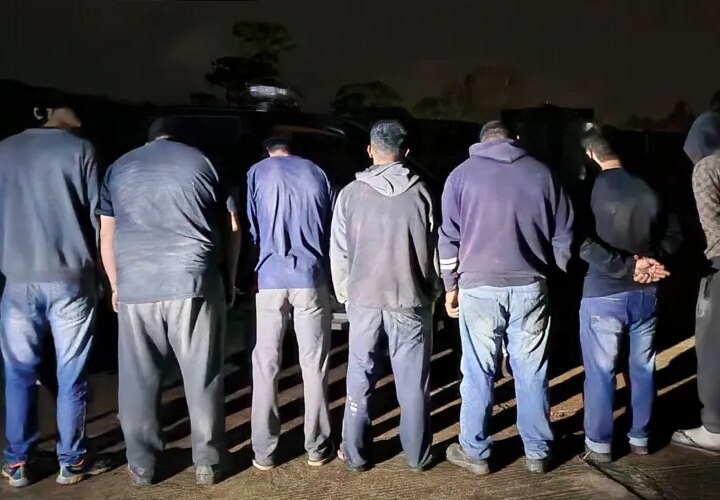 Fertilizantes Adulterados: Operação Prende Quadrilha e Desmantela Esquema Milionário em Imbituva e Prudentópolis