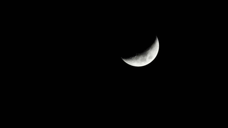 Lua Minguante em Leão: Descubra as Influências Astrológicas e Agrícolas de Hoje, 16 de Outubro