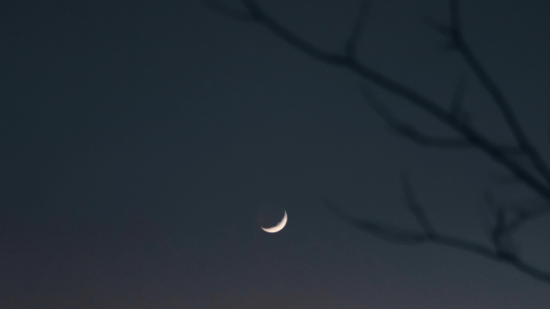 Lua Nova em Escorpião: Descubra as Influências e o Calendário Lunar de Outubro
