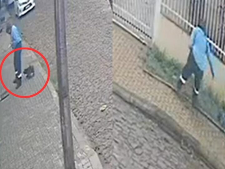 Vídeo: Funcionário Terceirizado da Sanepar é Flagrado Matando Cachorro a Pauladas em Foz do Iguaçu