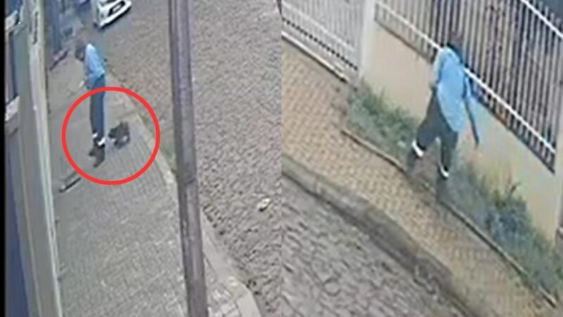 Vídeo: Funcionário Terceirizado da Sanepar é Flagrado Matando Cachorro a Pauladas em Foz do Iguaçu
