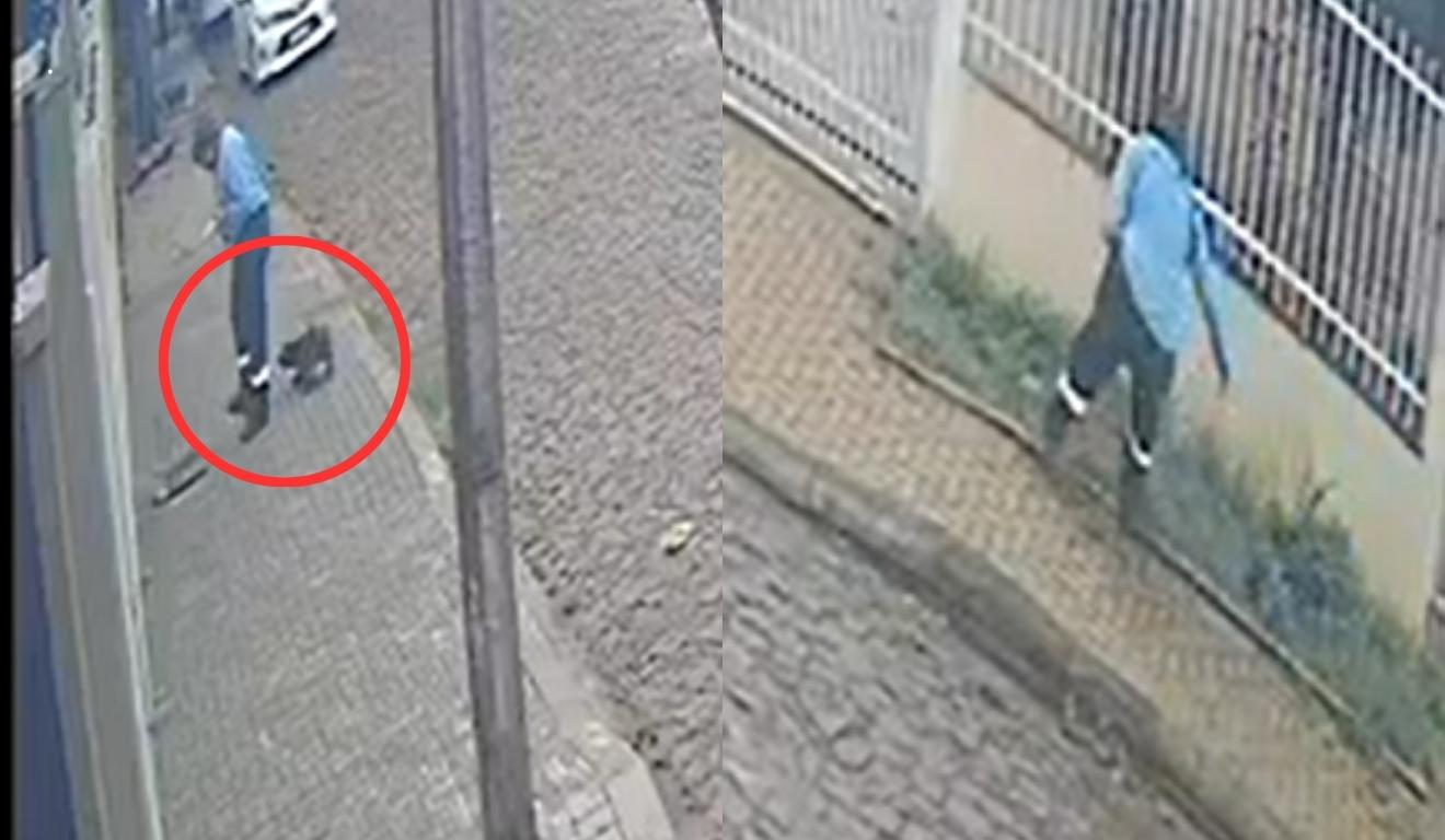 Vídeo: Funcionário Terceirizado da Sanepar é Flagrado Matando Cachorro a Pauladas em Foz do Iguaçu