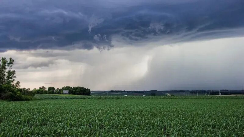 PepsiCo Aprimora Ferramenta para Blindar Agricultura Contra Crises Climáticas