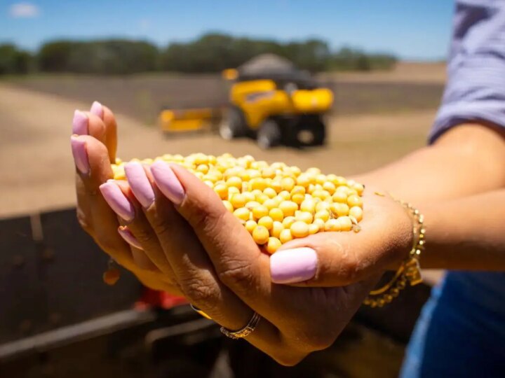 Revolução no Campo: 50 Anos da Embrapa Transformaram o Cerrado em Potência Agrícola Sustentável