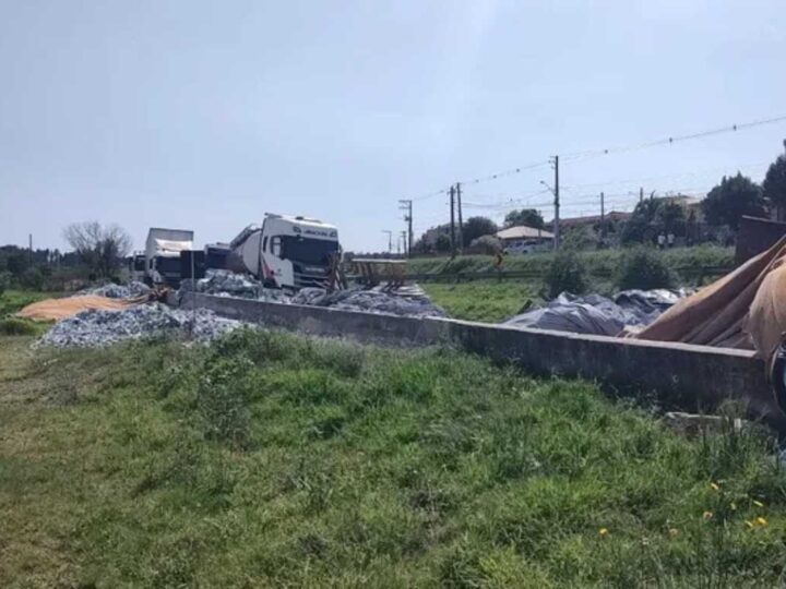 Tragédia na PR-151: Caminhoneiro Morre em Tombamento Próximo a Carambeí