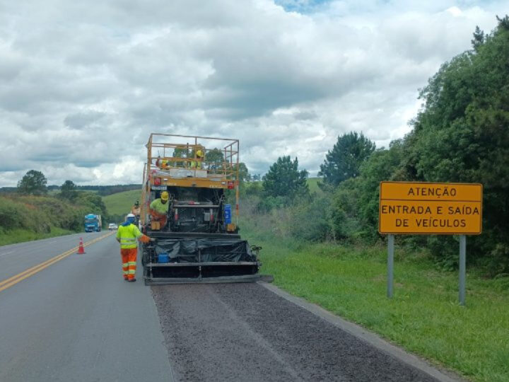 Descoberta Milenar: Fósseis Pré-Históricos Interrompem Obra em Rodovia no Paraná