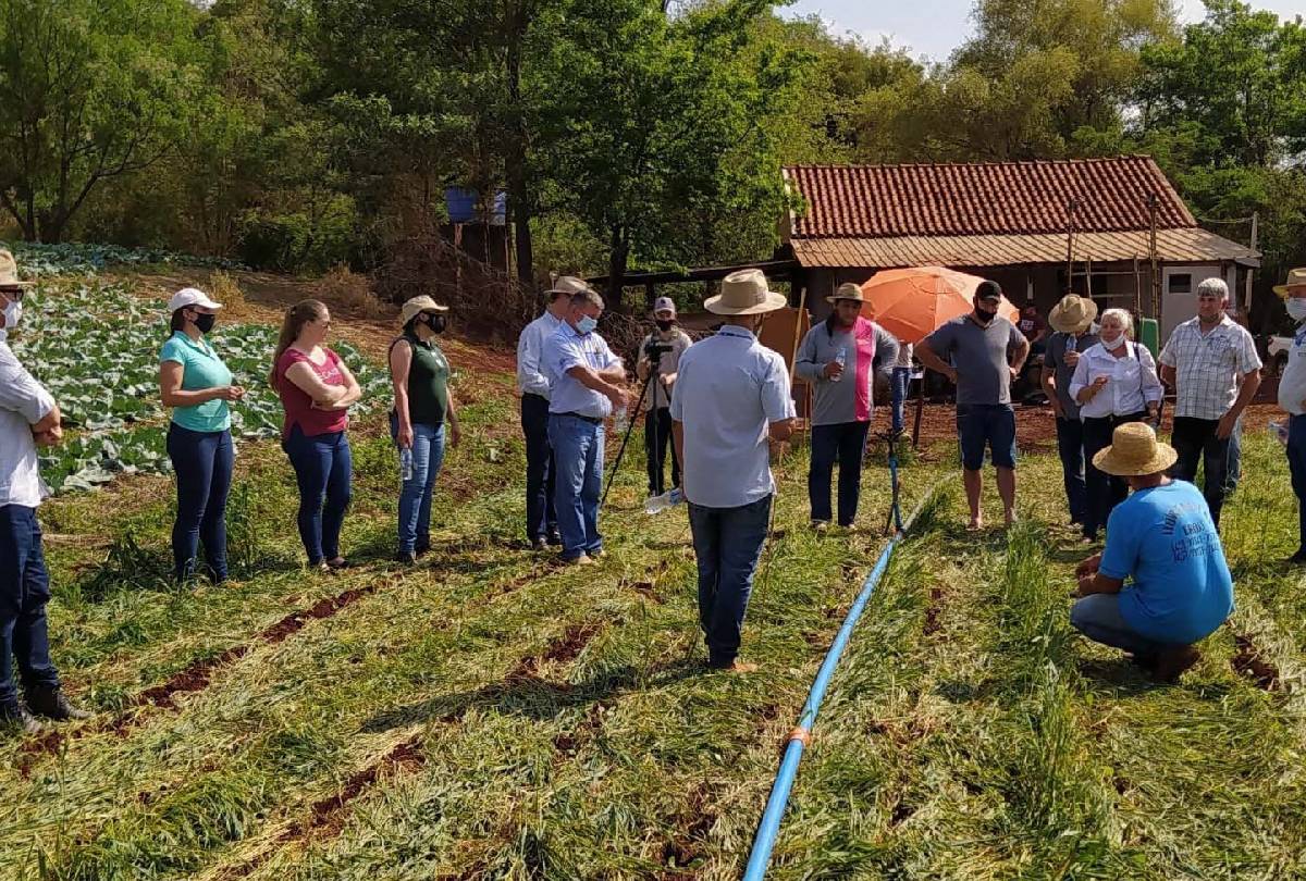 IDR Paraná abre inscrições gratuitas para processo seletivo com salários de até R$ 9,4 mil