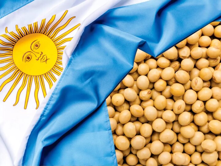 Exportações de Grãos Argentinos Disparam até Agosto, Impulsionadas por Arroz e Trigo