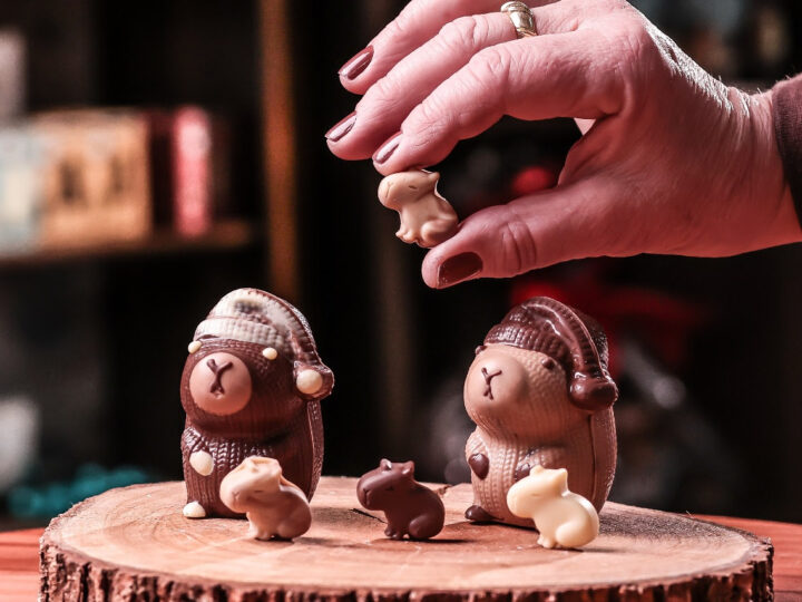 Doce Invasão Curitibana: Capivaras de Chocolate Artesanais Celebram o Dia das Crianças