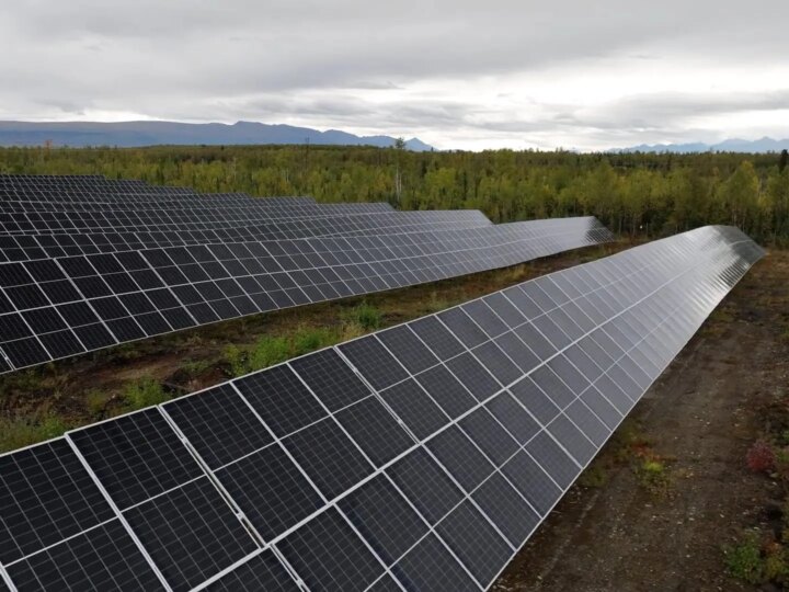 Alasca Inova: Fazenda Solar Combina Energia Limpa e Produção de Alimentos