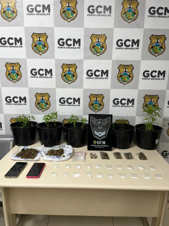 PCPR e GCM prendem casal em flagrante por tráfico de drogas em Ponta Grossa