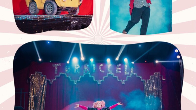 O encanto do circo permanece vivo em espetáculo inesquecível